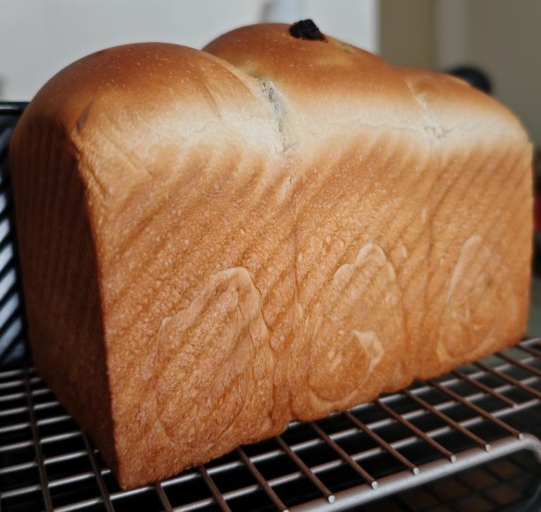 波兰种葡萄干吐司🍞