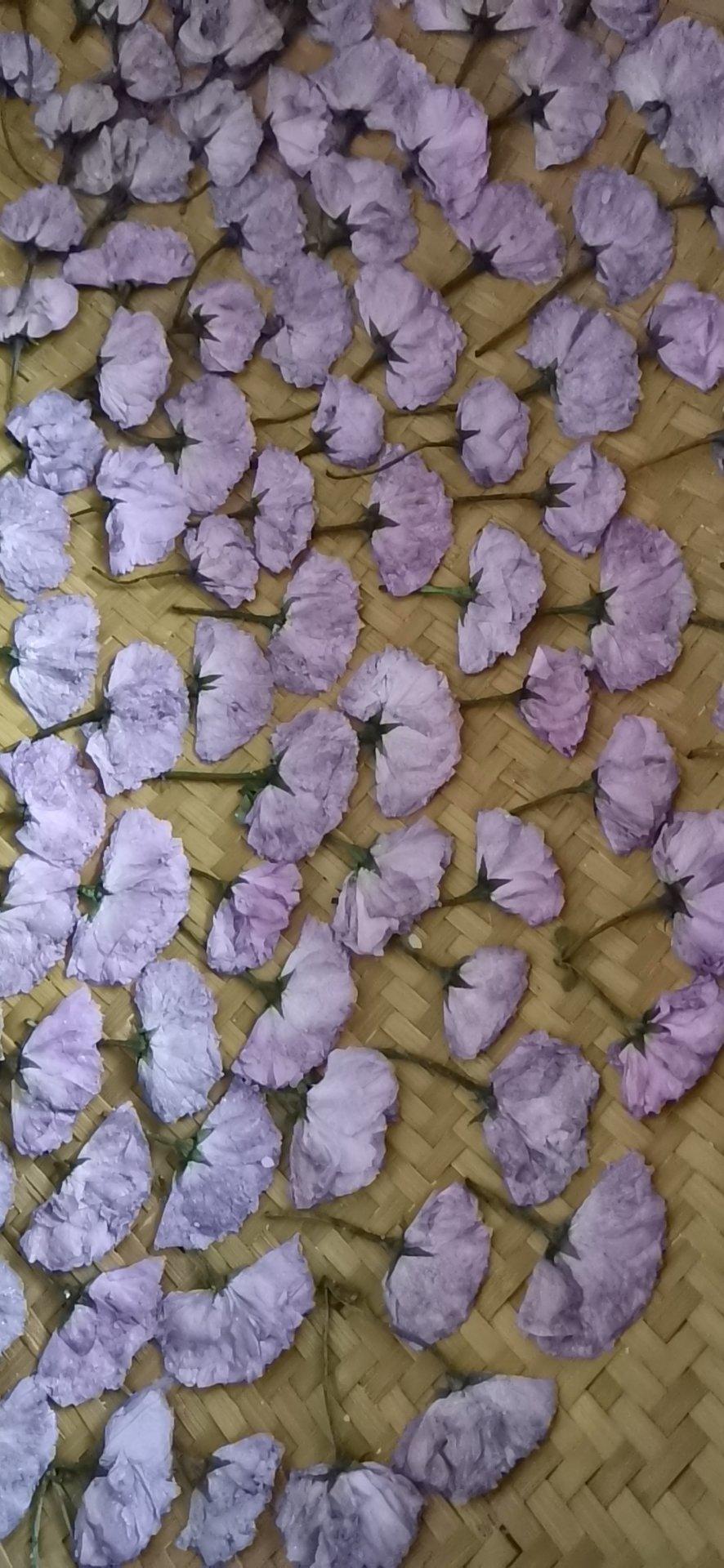 盐渍樱花