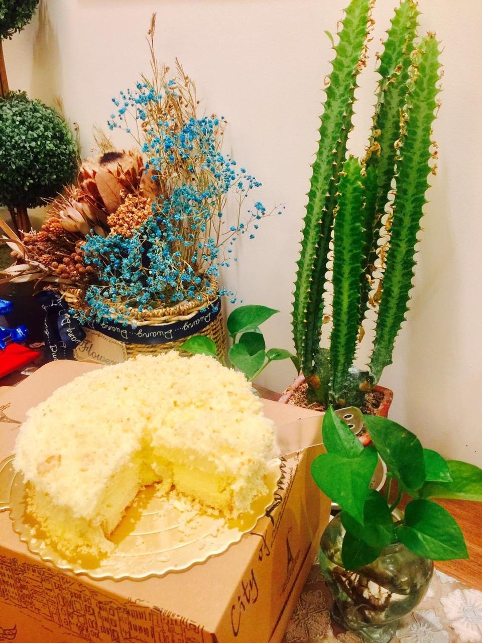 <LeTao>双层芝士蛋糕配方大公开！！