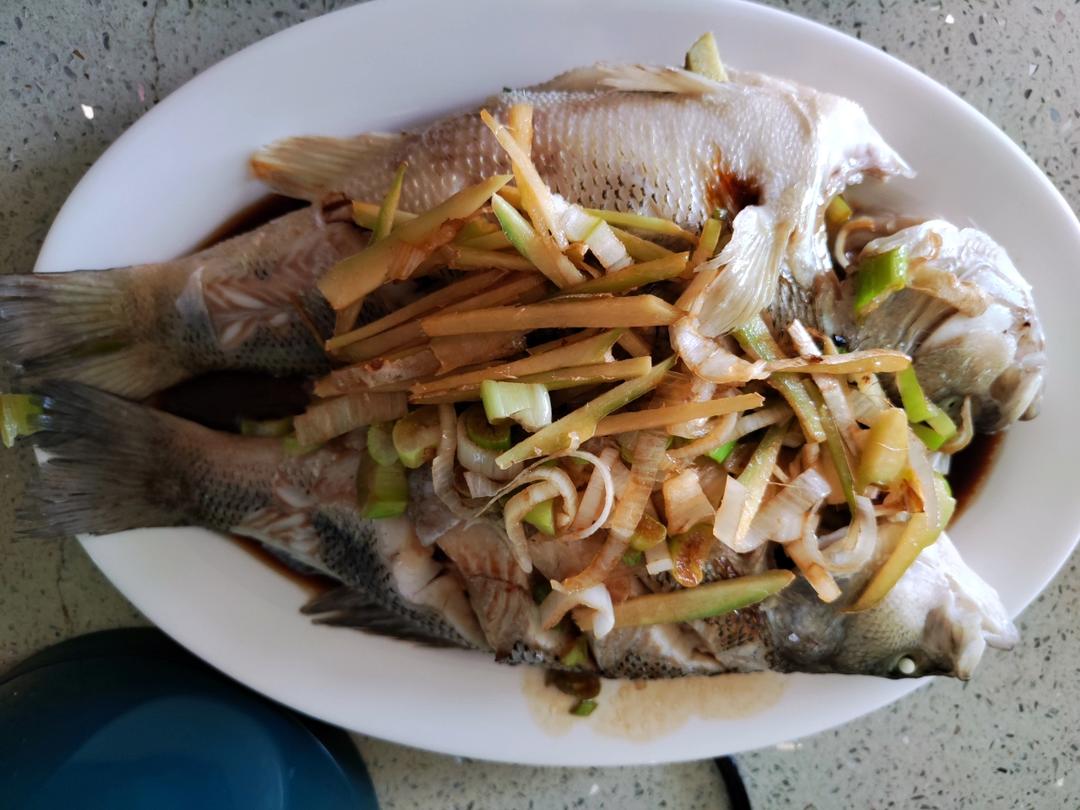 清蒸鲈鱼
