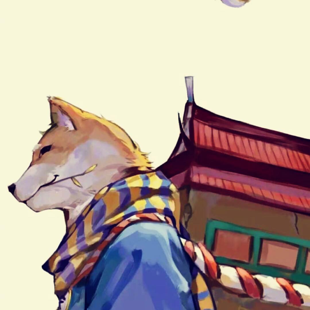 邵帅-10