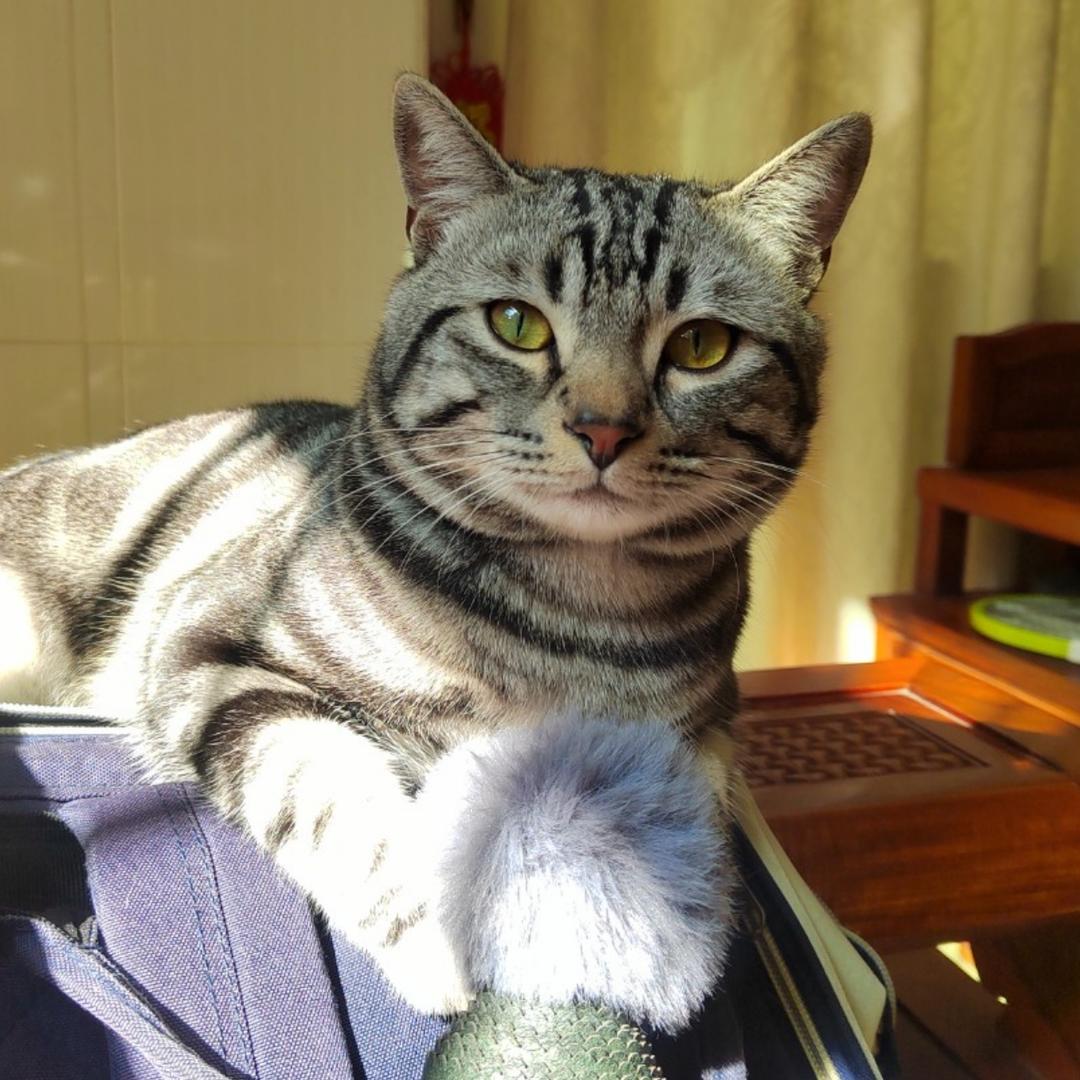 零零星星丶Reborn