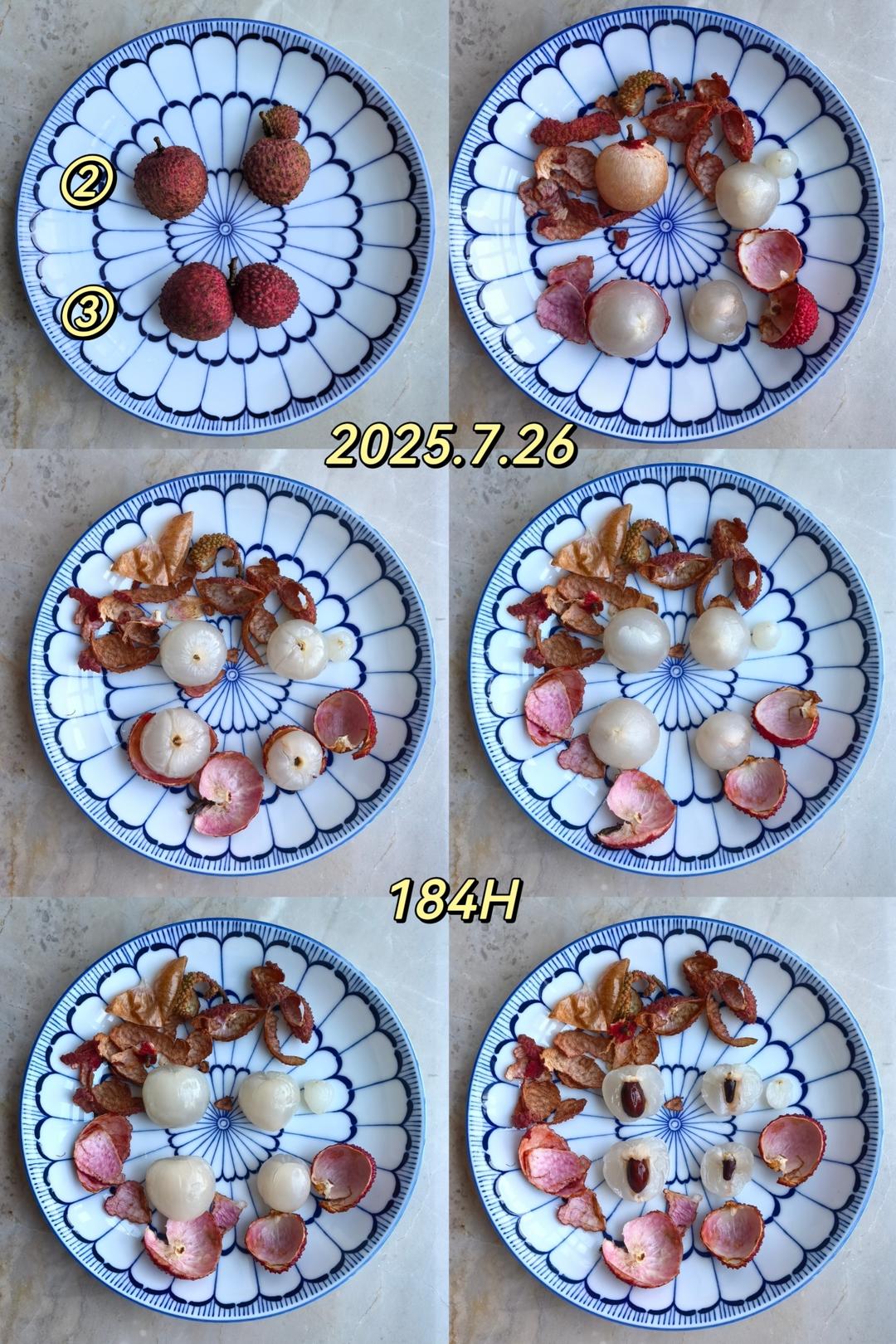 荔枝保鲜对比