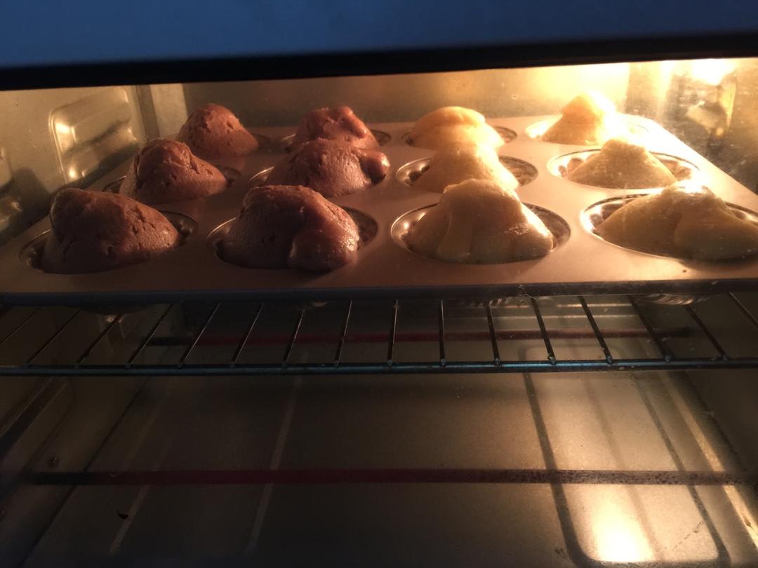 蔓越莓玛德琳
