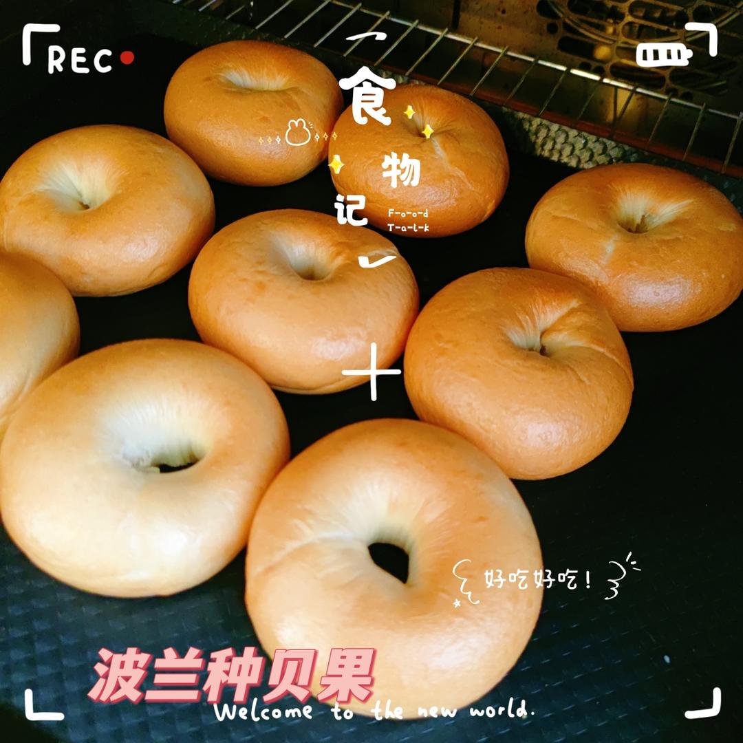 快手(波兰种)贝果