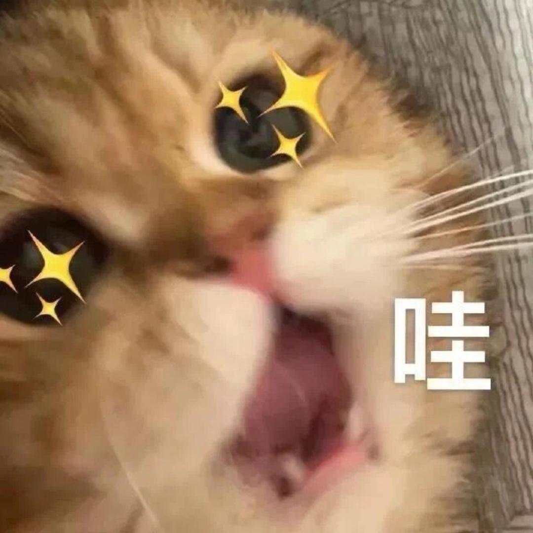 快说谢谢九宝