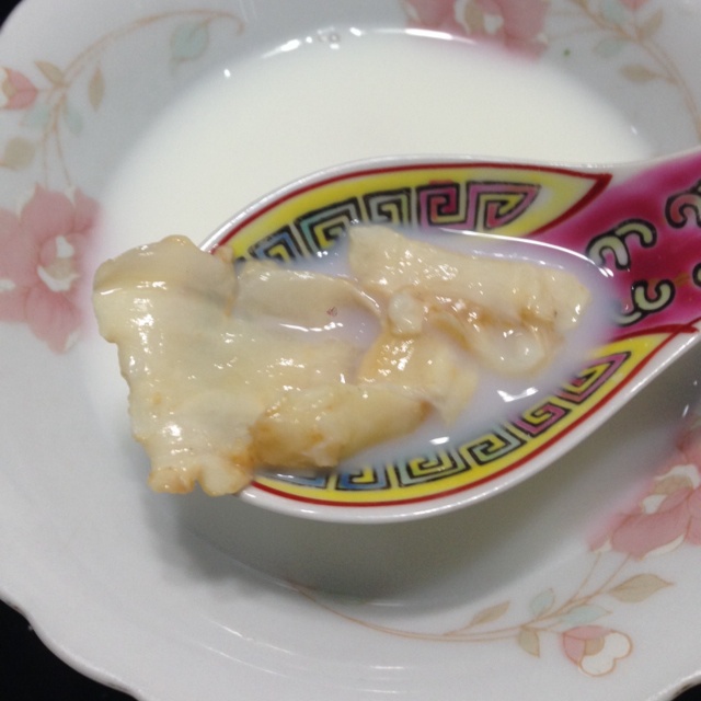 牛奶炖花胶