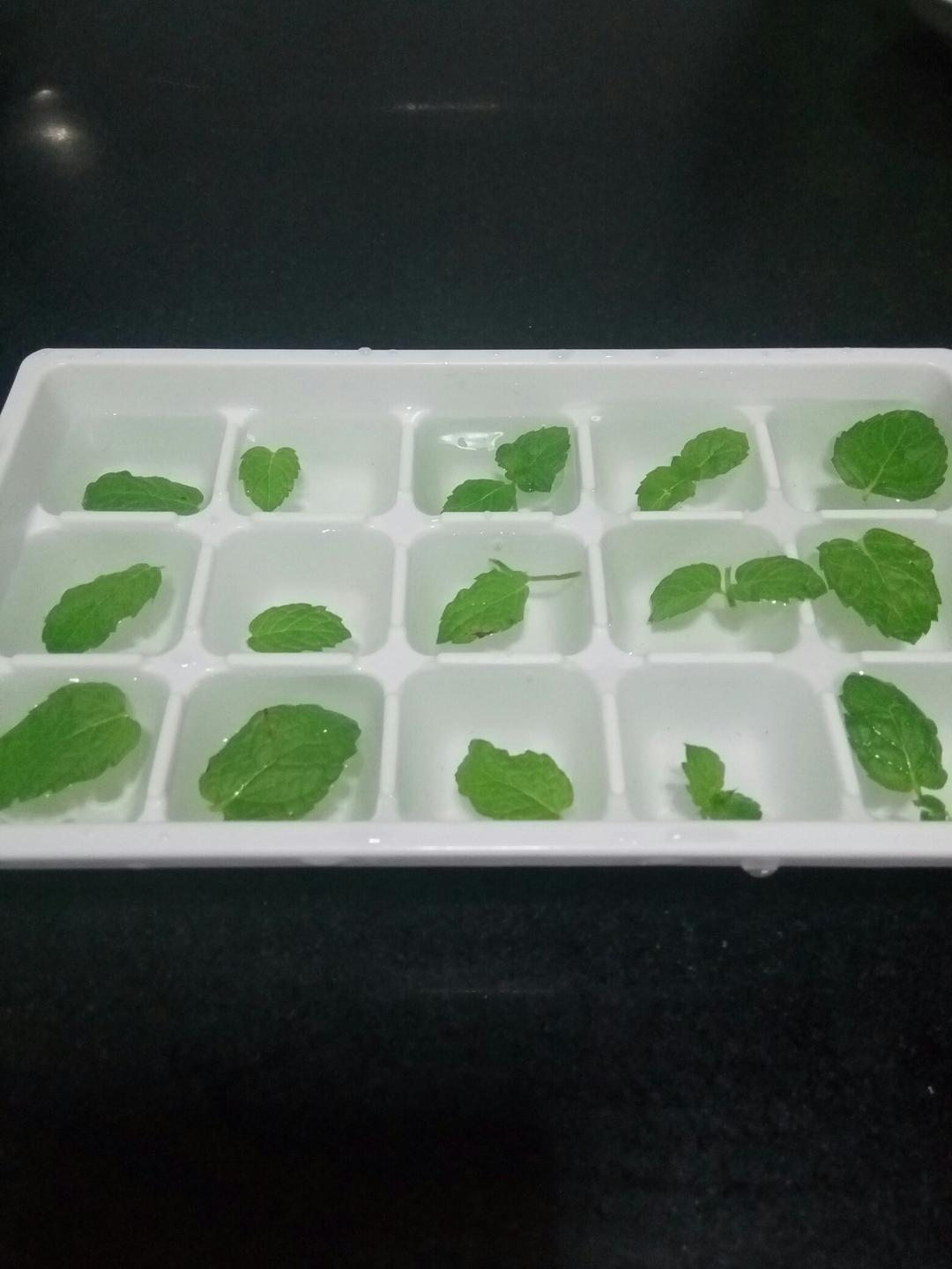 薄荷冰格的做法