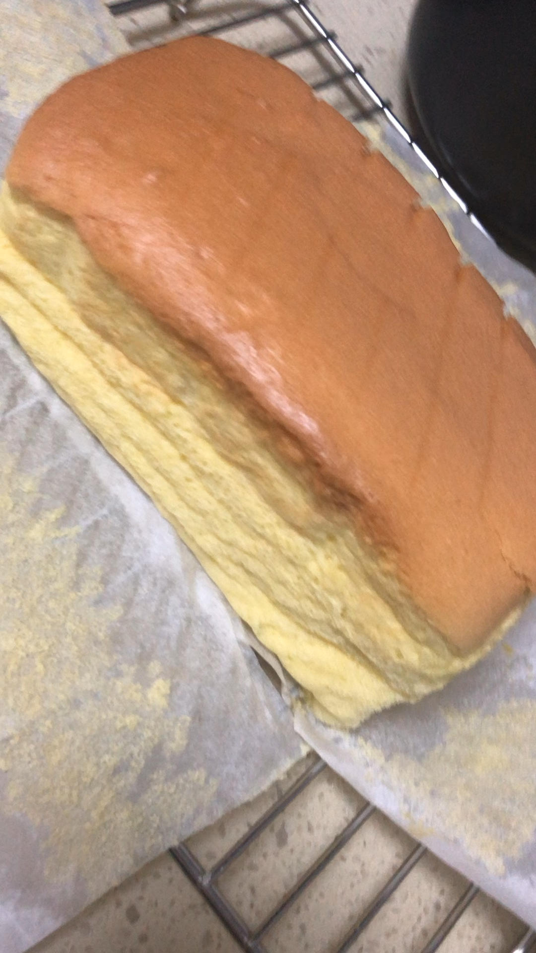 堪比柯基屁股
爆浆芝士🧀古早蛋糕