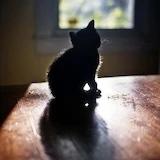 LonelyGod_