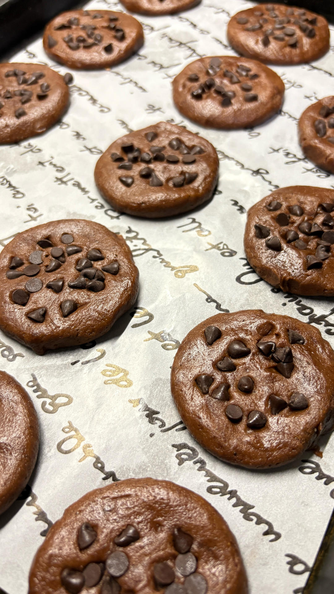 🍪巧克力曲奇｜免打发❗️零失败一次成功❗️