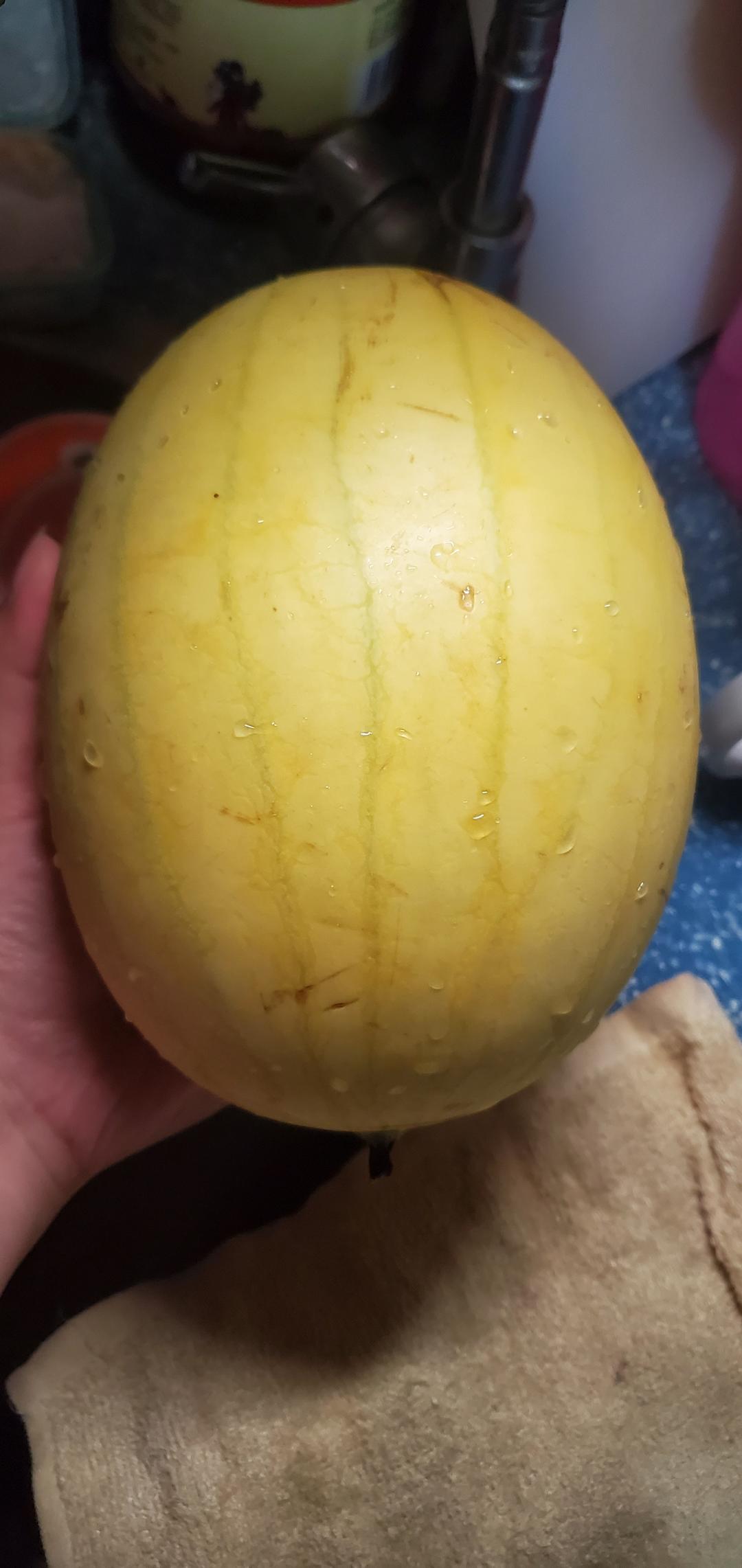 爱尝鲜的蔬果宇宙