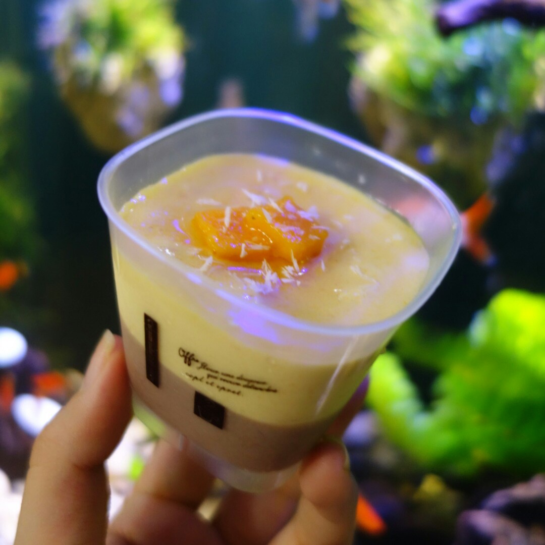 巧克力芒果慕斯