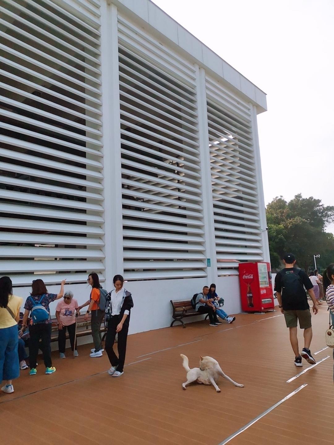 放飞心情畅游🏝️