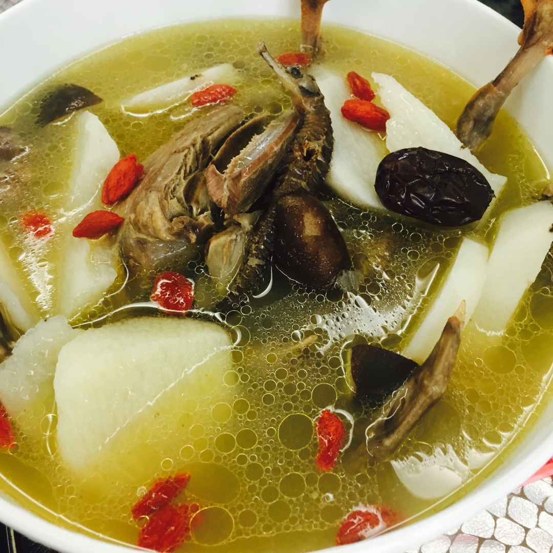 枣杞乳鸽汤