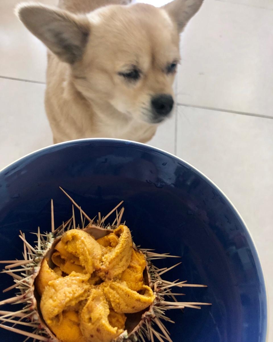 自己在家随便吃点