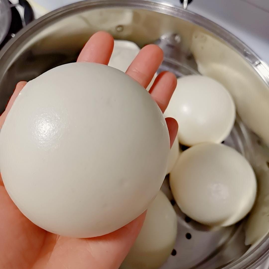 手把手教你蒸馒头