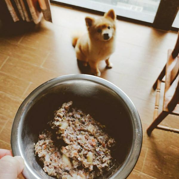 狗狗鲜食——青花鱼蔬菜饭