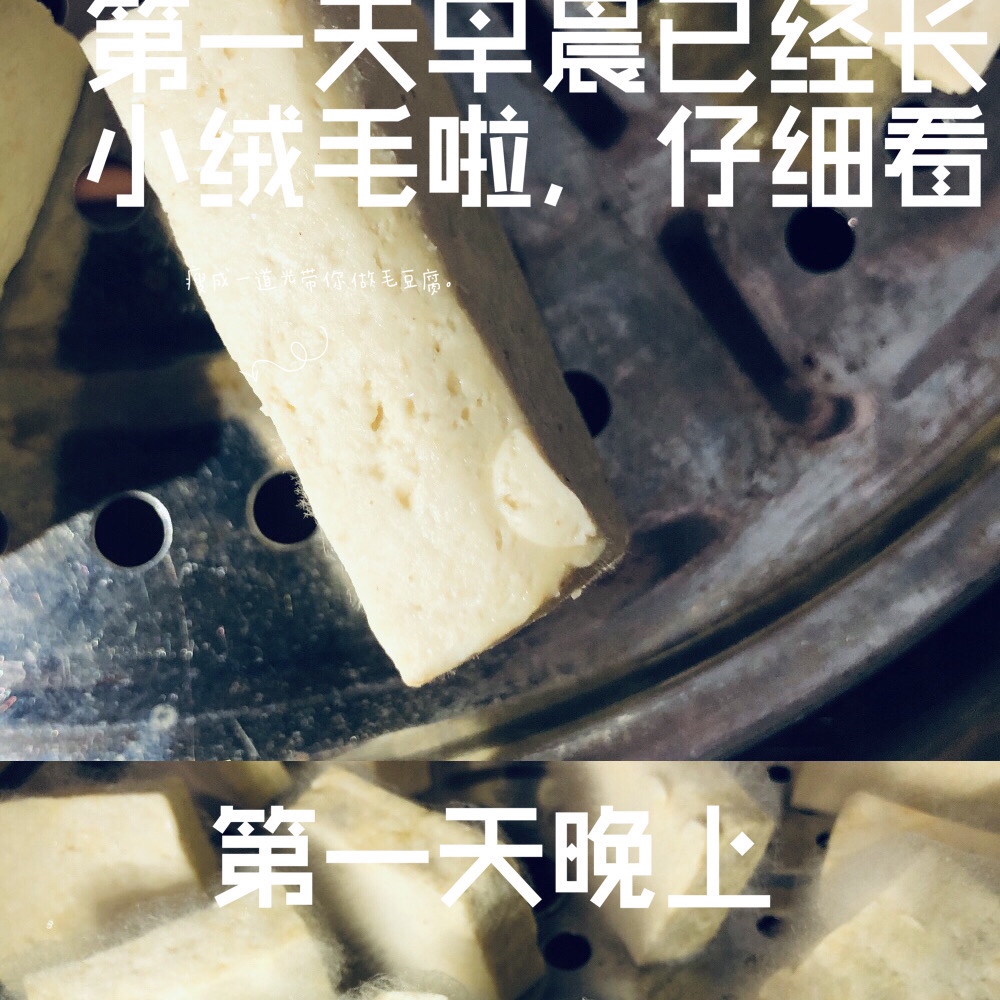 🦊毛豆腐🦊家庭自制极简版👼🏻的做法 步骤2
