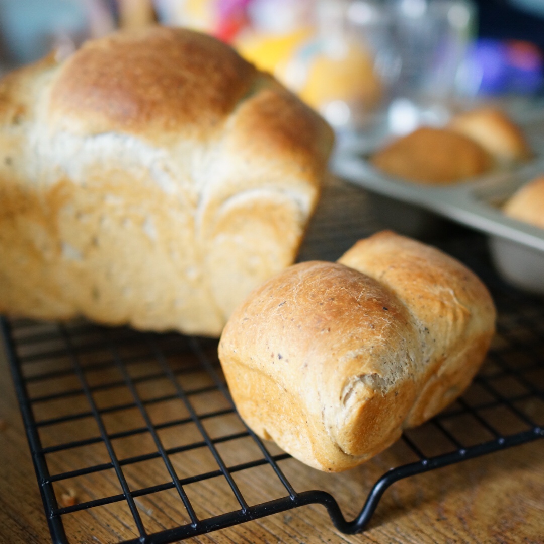 基础面包制作 Basic Bread (Loaf&Roll)