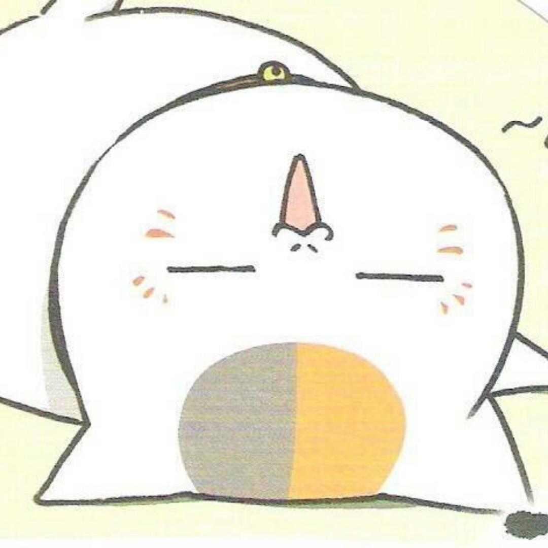 圆圆菌