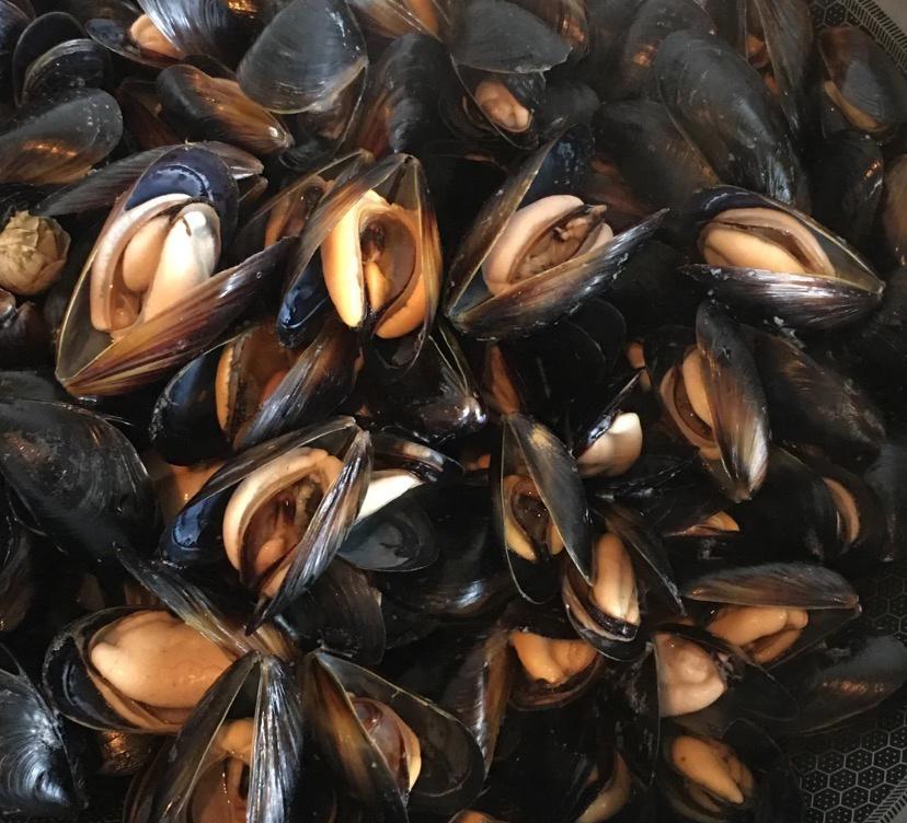 超级便宜却特别鲜🉐️煮海虹