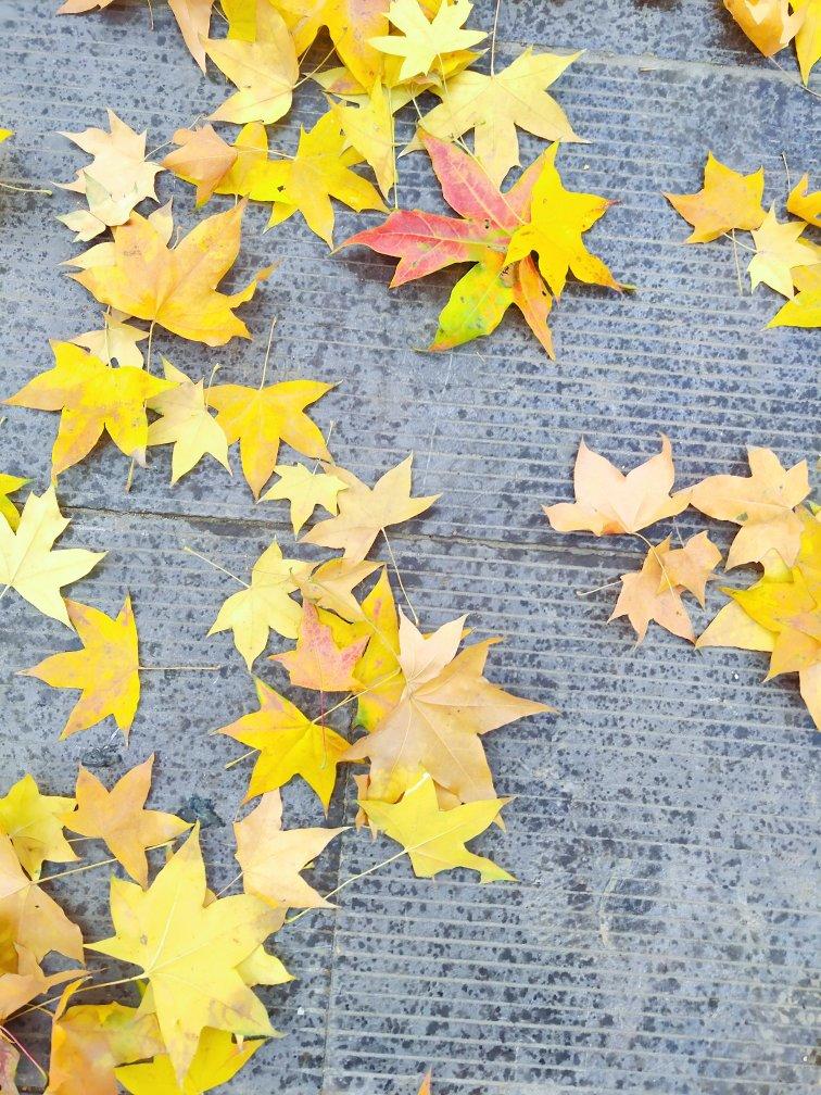 抹嘴-肉夹馍的肉和蛋，不放油版本