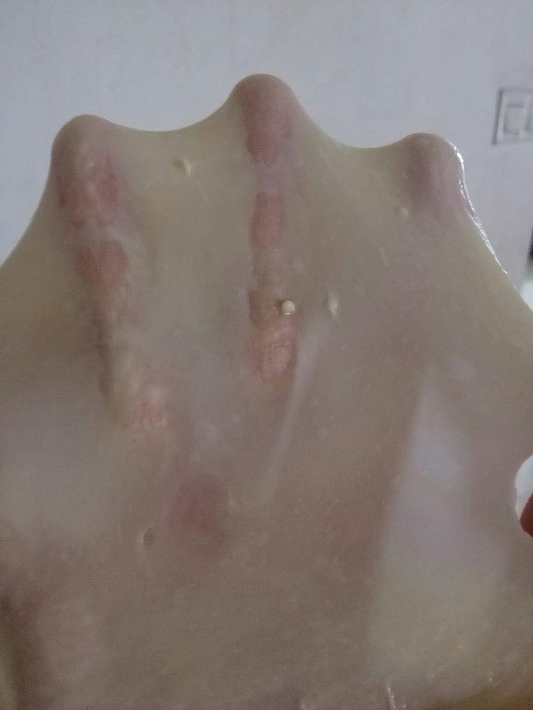 夏天面包机如何揉手套膜