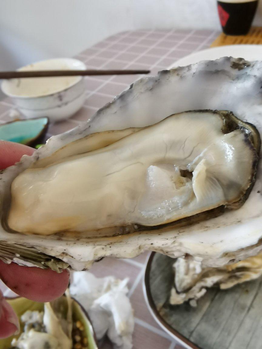 最鲜最嫩的生蚝做法——蒸生蚝🐚