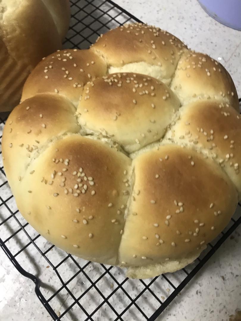 波兰种超软吐司