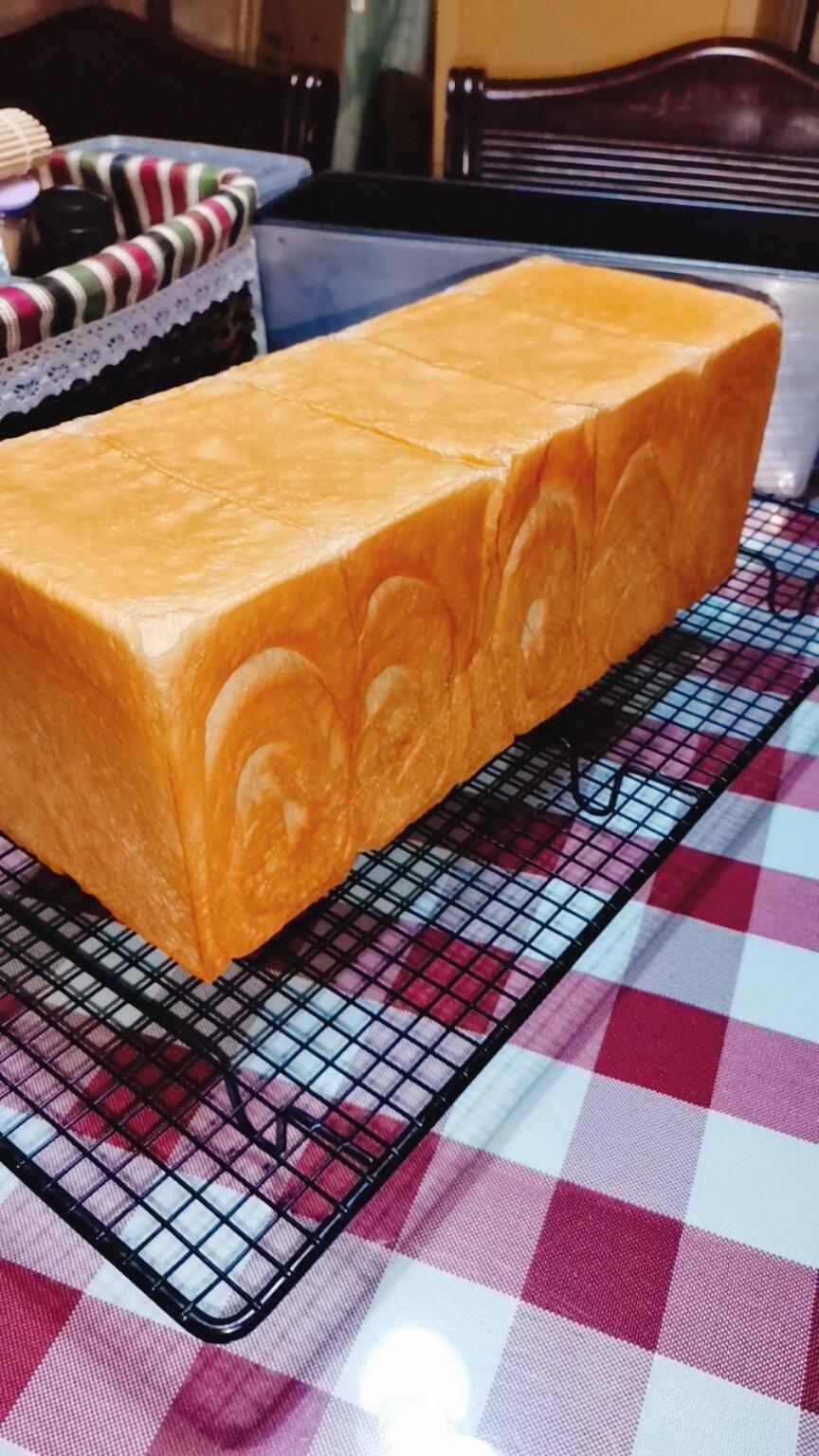 波兰种通用面包胚