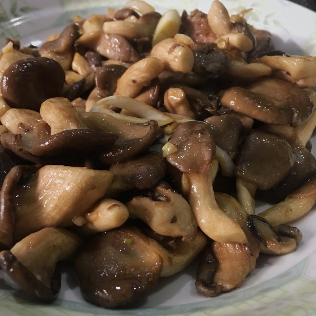 土澳做菜的大饼做的烧蘑菇