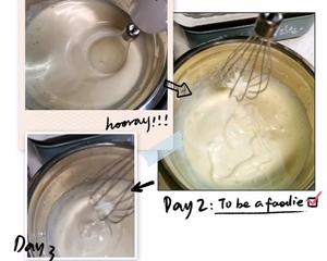 柠檬海棉杯子蛋糕的做法 步骤4