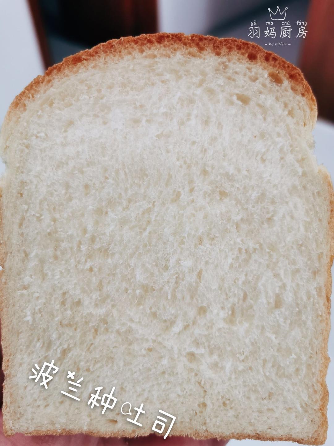 Poolish种（波兰种）吐司——不推荐不行的吐司配方