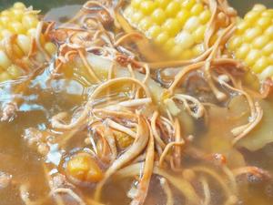 虫草花干贝排骨玉米汤，鲜甜美味汤，懒人煲汤的做法 步骤5