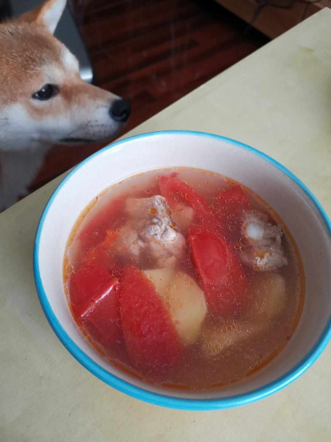 番茄土豆排骨汤