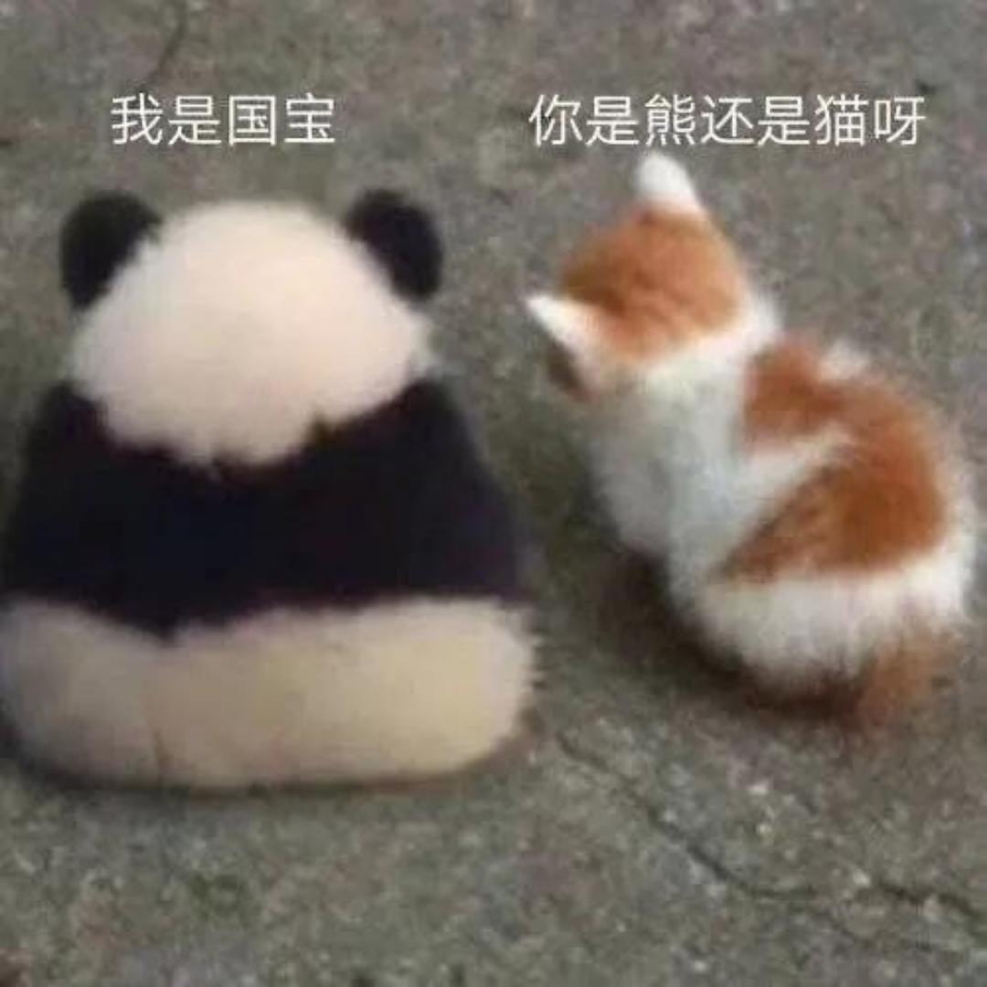 熊猫堡堡的厨房