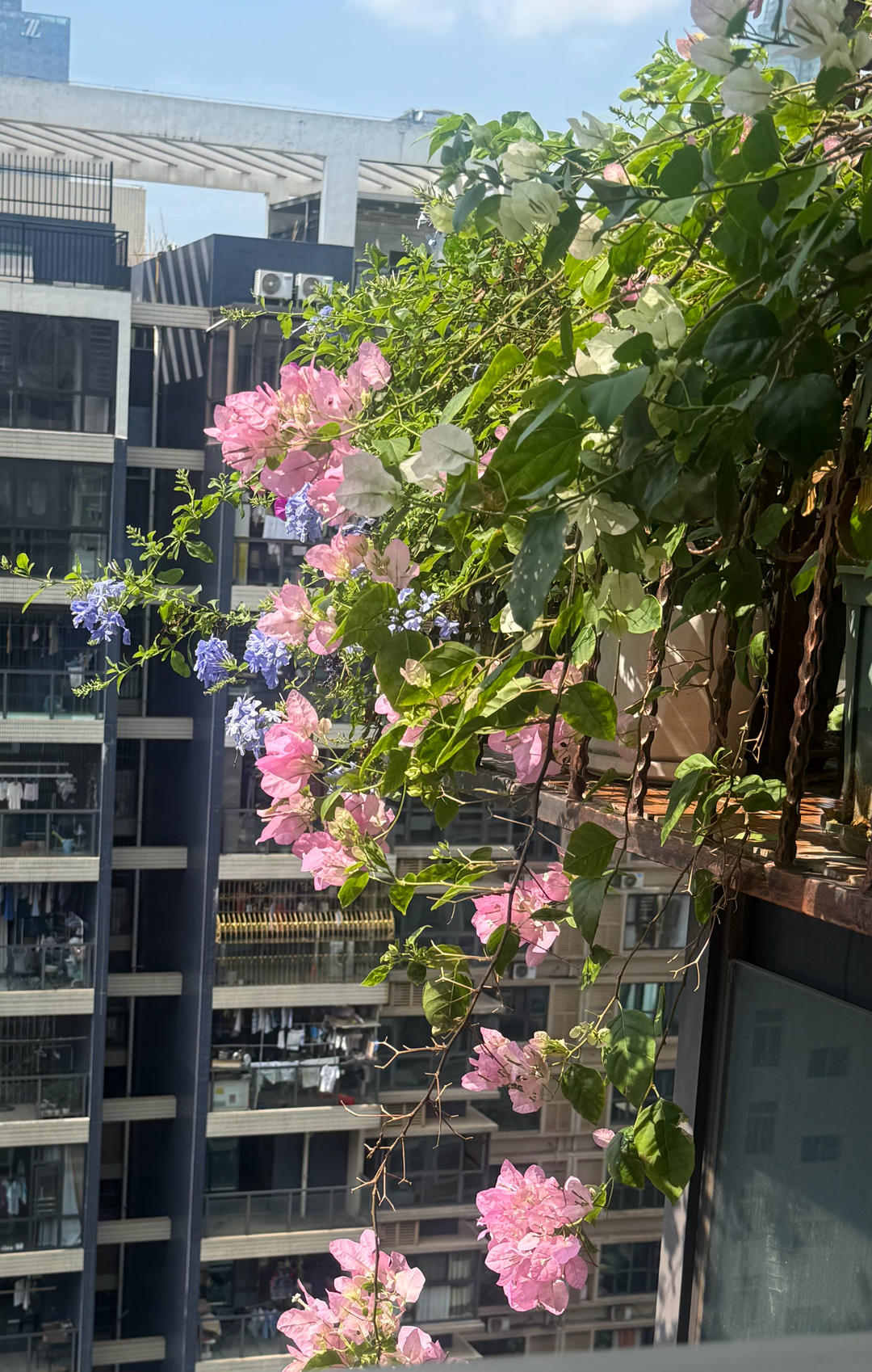 闲暇时光