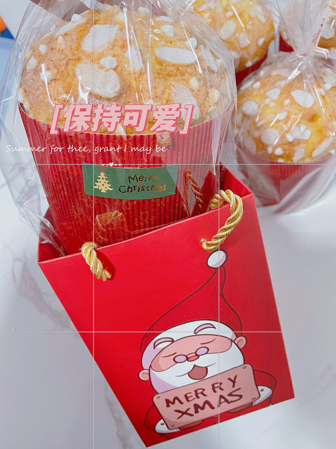 圣诞面包～潘娜托尼Panettone * 博世厨师机