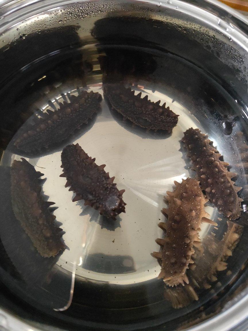 泡发海参的方法