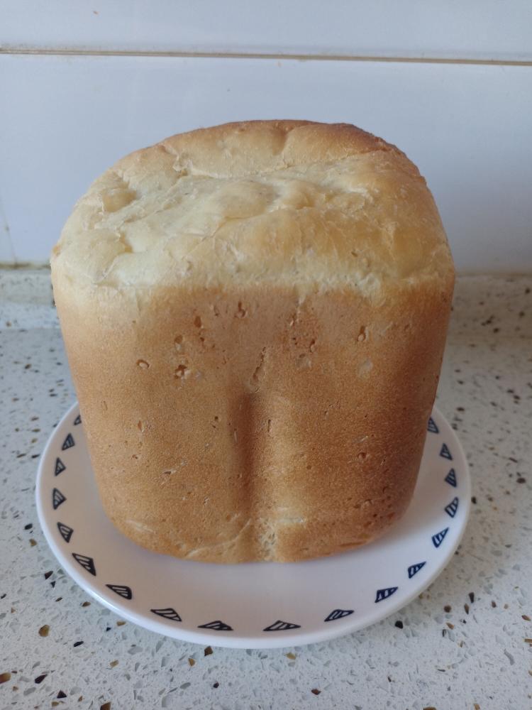 东菱面包机超级柔软面包（波兰种）