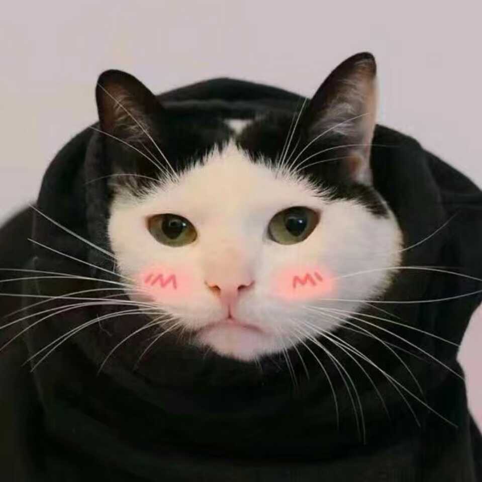 苇道