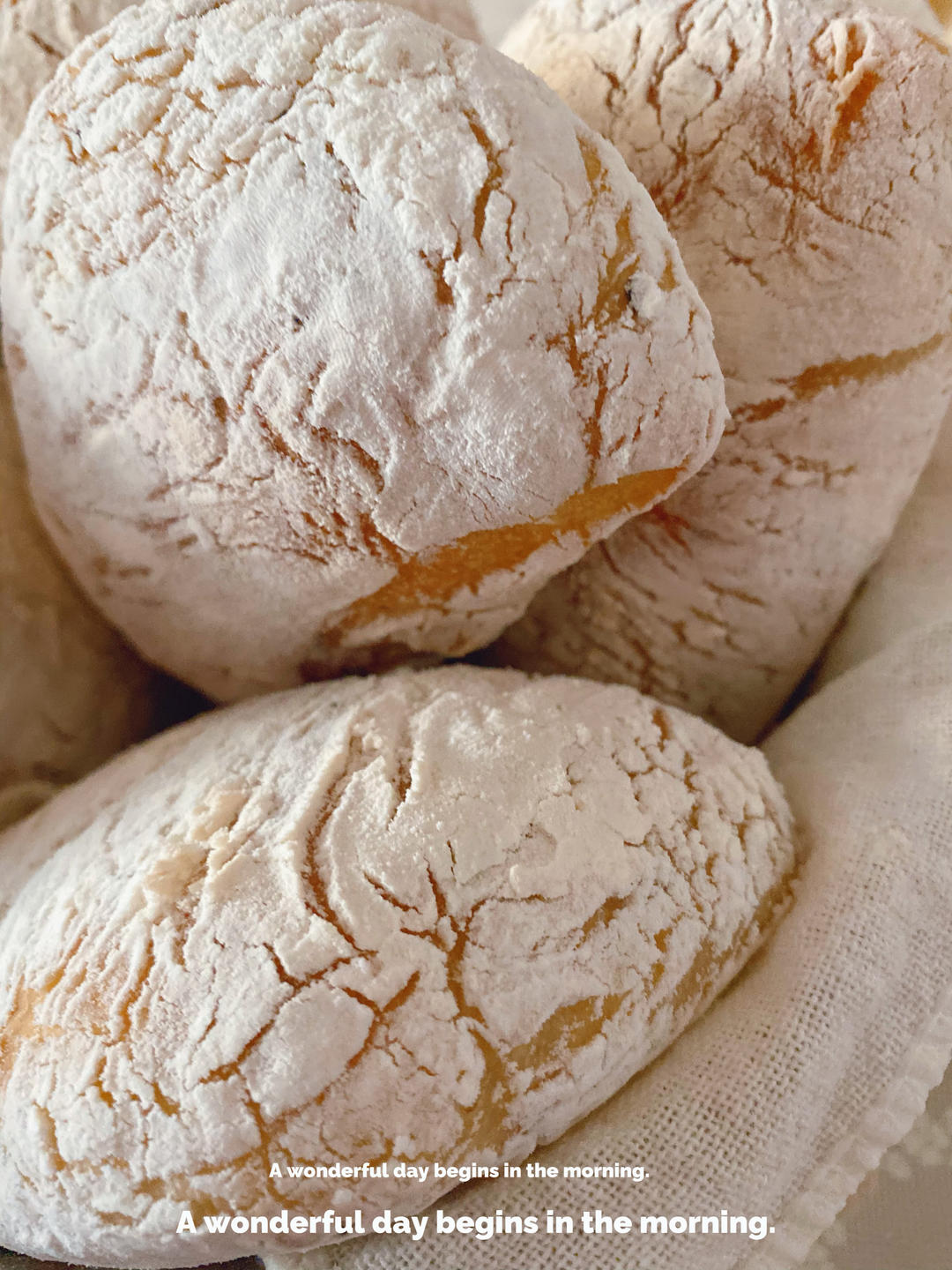 小白就会做!
免揉大气孔恰巴塔