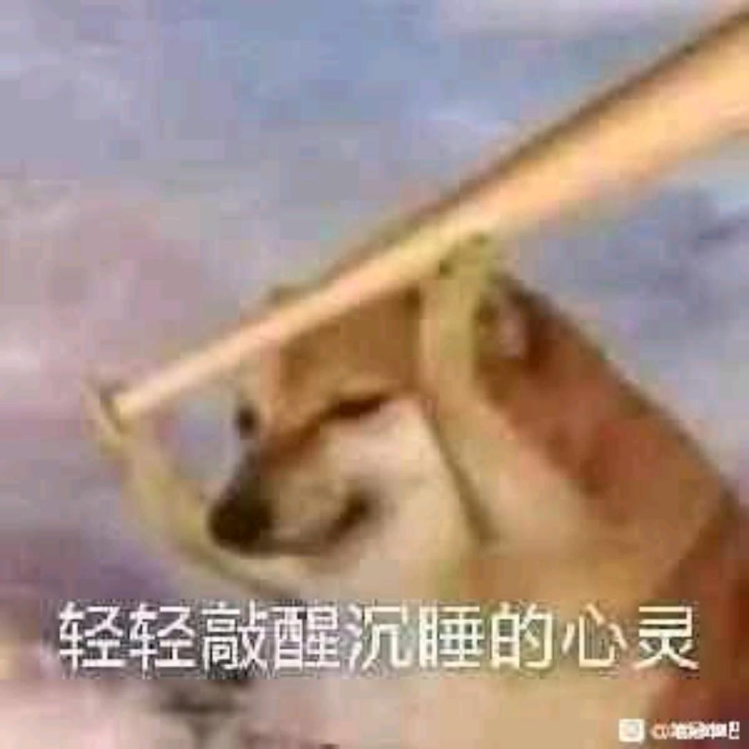 要不还是外卖吧