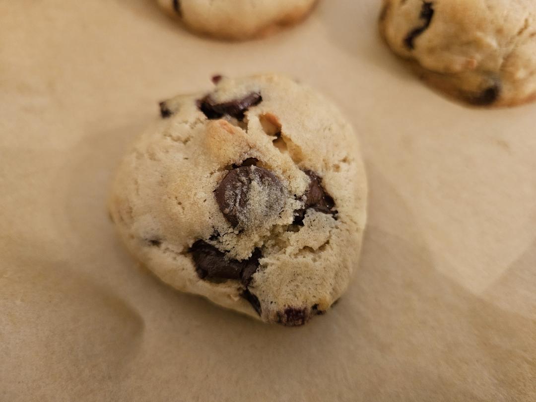 果干巧克力干果曲奇my everything cookie