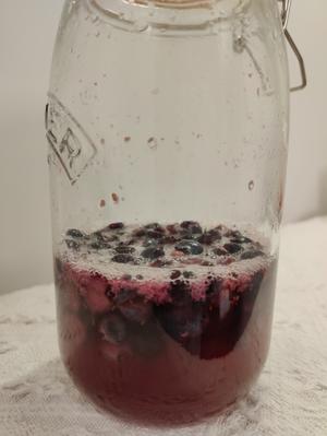 天然酵种·蓝莓酵液/酵种的做法 步骤5