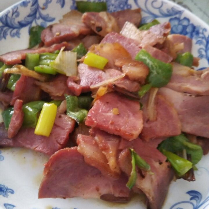 可乐旋律做的青椒炒肘子