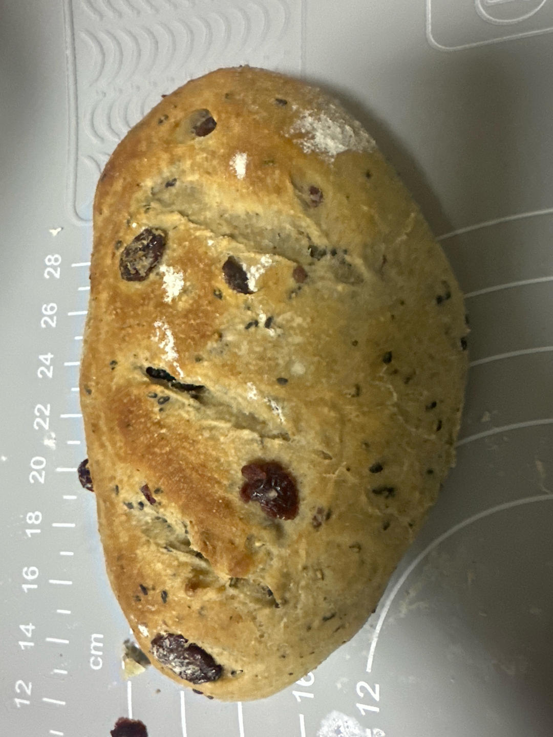 全麦蔓越莓核桃软欧包