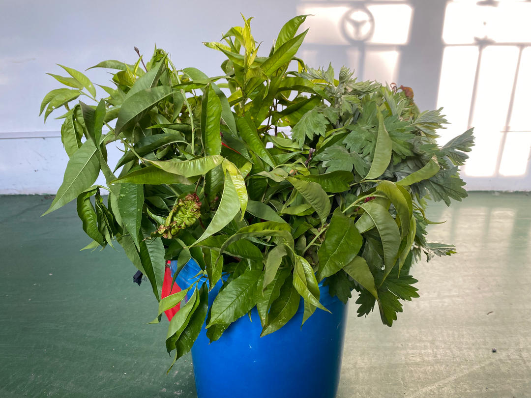 节日美食