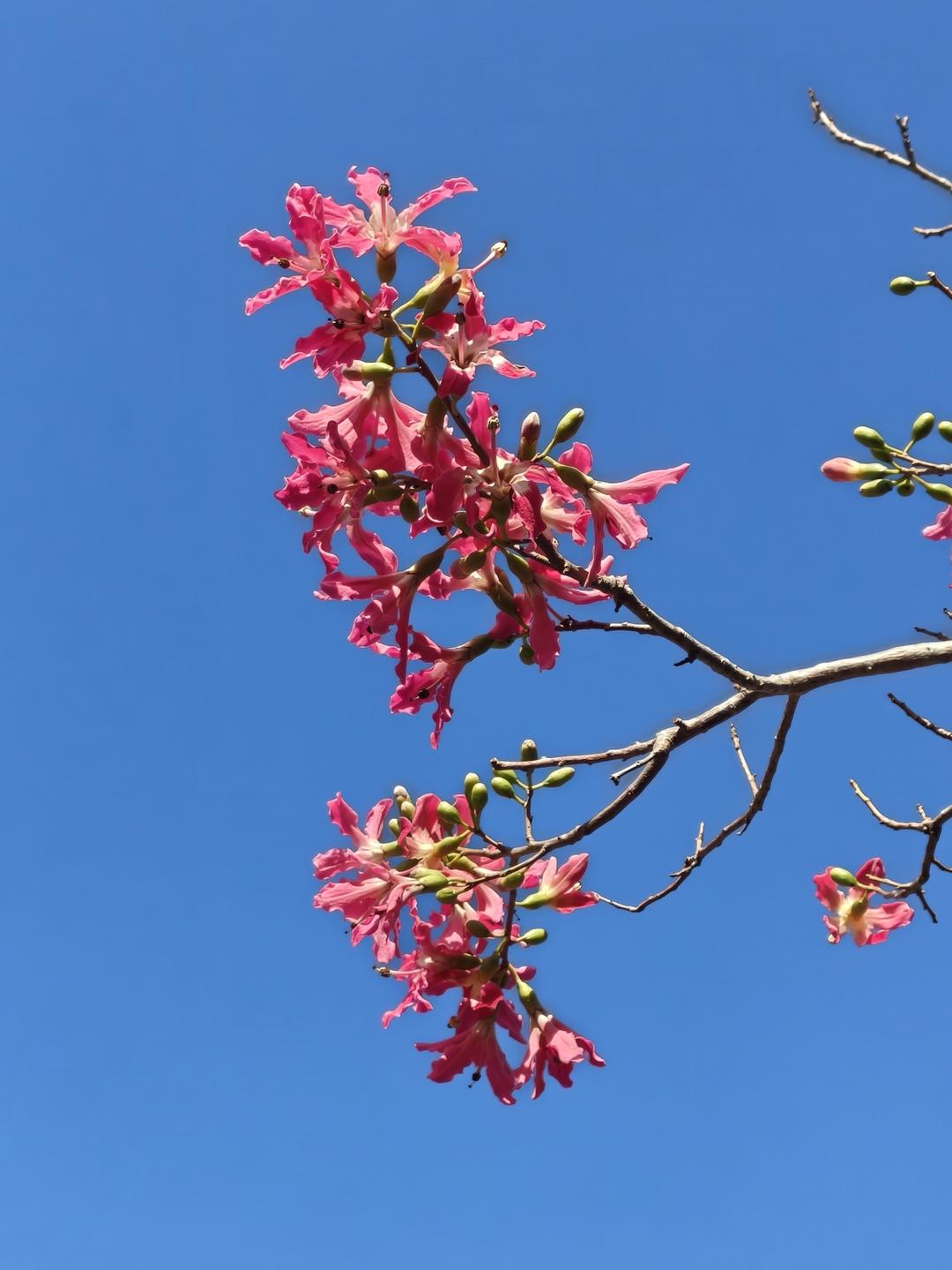 晚餐•2025年12月16日